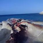بيت للعطل Traditional House By The Sea